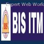 BIS  Computer Institute