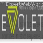 Evolet Healthcare Pvt. Ltd.